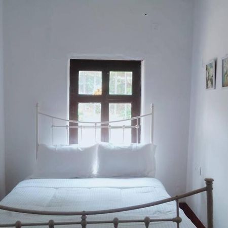 A Quaint Cottage With Rajah'S Seat View. 마디케리 외부 사진