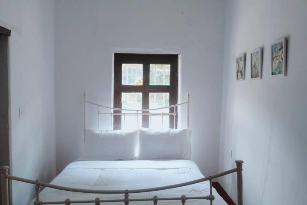 A Quaint Cottage With Rajah'S Seat View. 마디케리 외부 사진